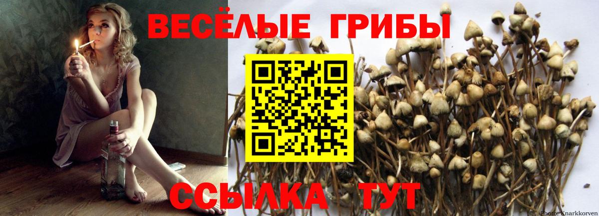 Псилоцибиновые грибы ЛСД Кимовск