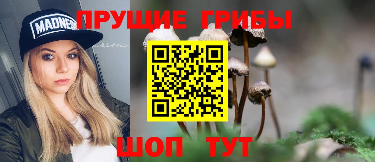Галлюциногенные грибы MAGIC MUSHROOMS  Вход с VPN  Кимовск 